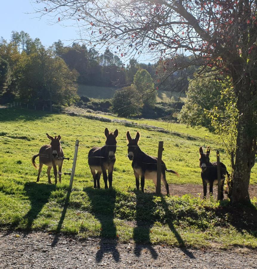 サン・ジロン La Ferme De Jeanne Bed & Breakfast エクステリア 写真