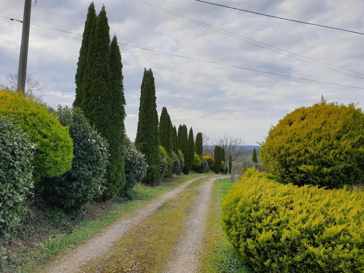 サン・ジロン La Ferme De Jeanne Bed & Breakfast エクステリア 写真