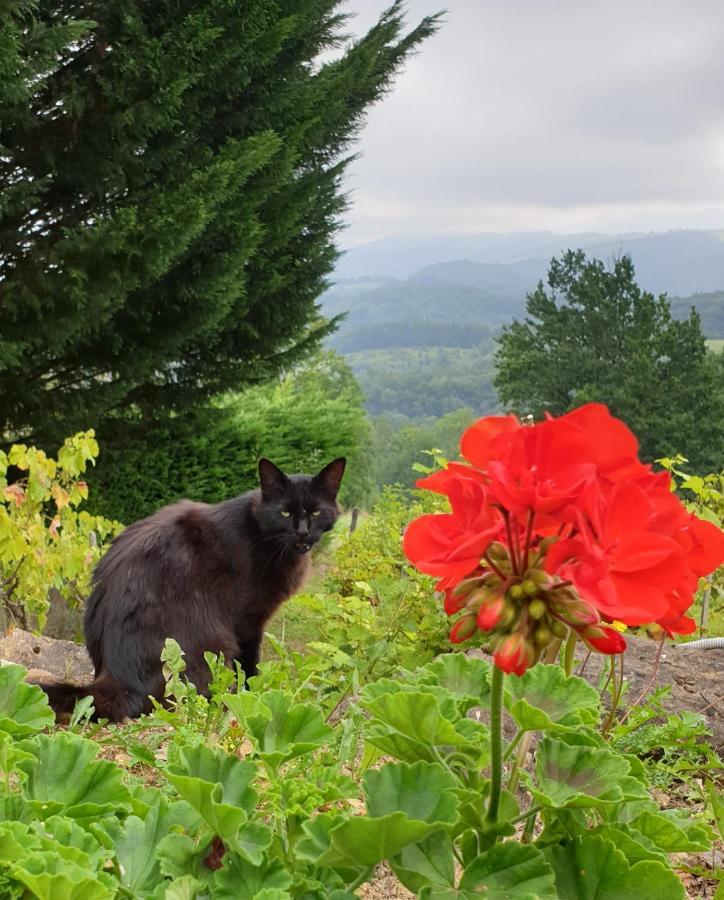 サン・ジロン La Ferme De Jeanne Bed & Breakfast エクステリア 写真